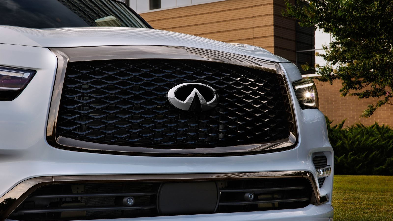 Infiniti QX80 2022