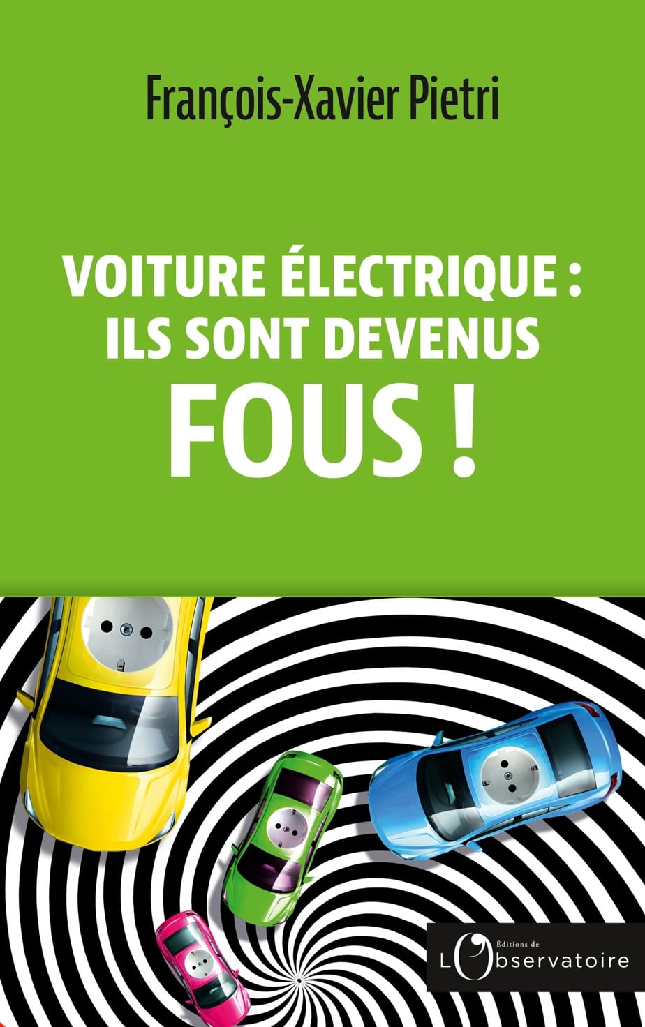Electric car: they have gone crazy! 