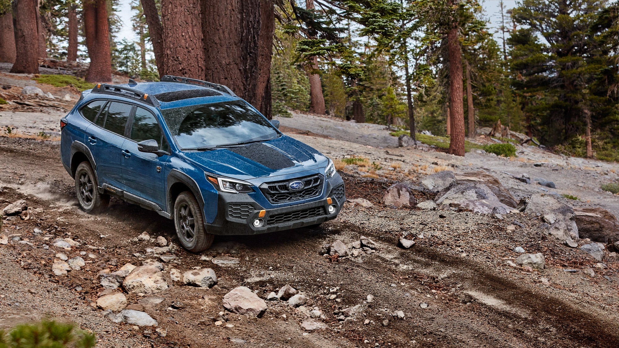 Subaru Outback Wilderness Gets Cosmetic Updates For 2024 OneCarSpot