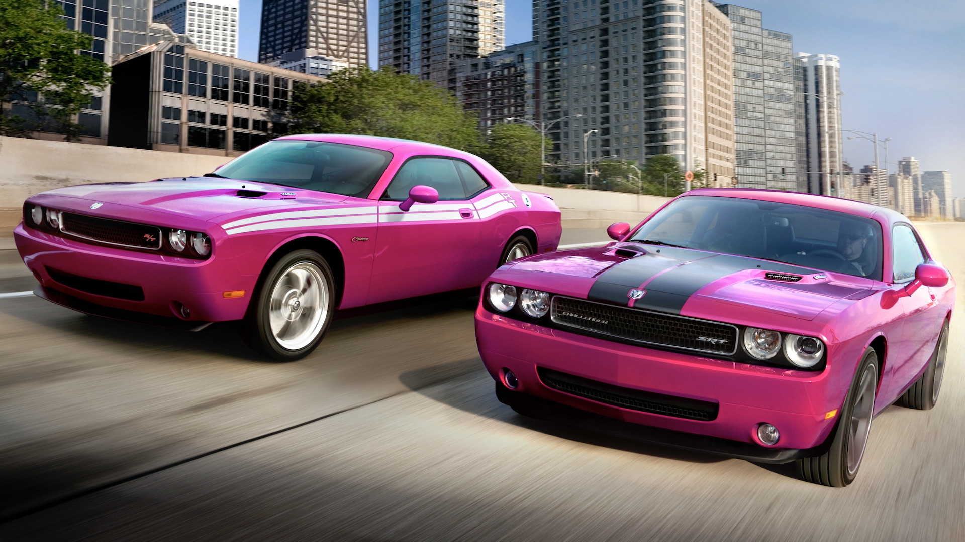 Dodge Challenger RT Classic Furious Fuchsia and Dodge Challenger SRT8 Furious Fuchsia 2010